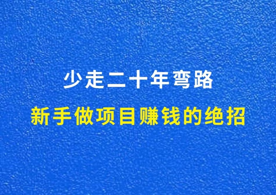 新手做项目赚钱的绝招，少走二十年弯路