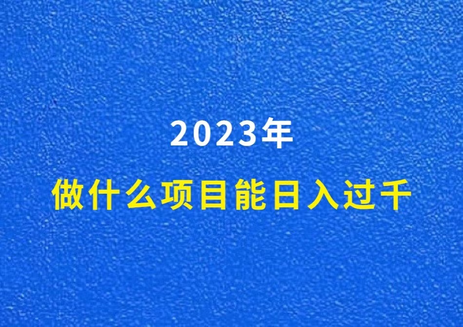 2023年，做什么项目能日入过千