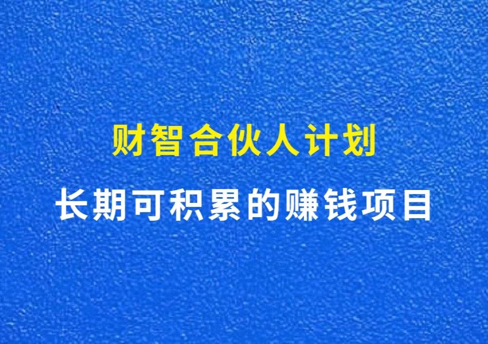 招募内测合伙人，一对一辅导搞钱，名额有限