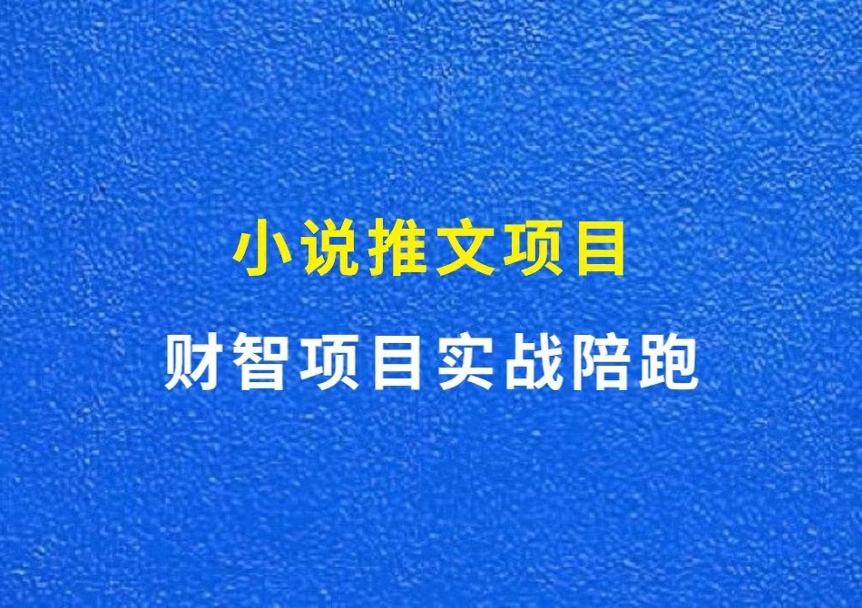 财智项目实战陪跑：小说推文项目