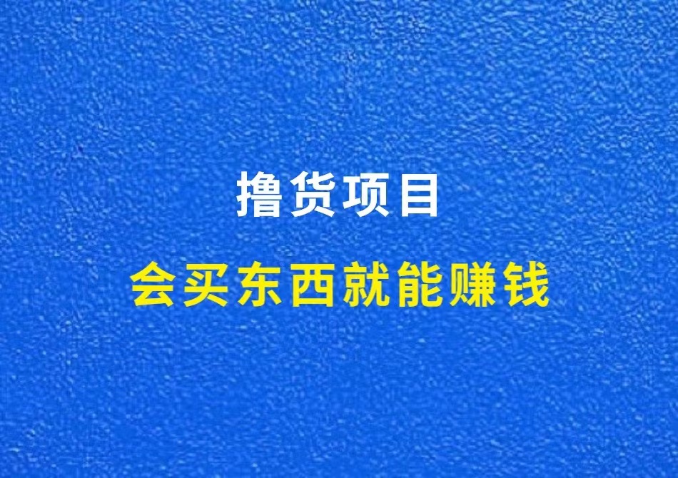 财智第12期项目实战陪跑：撸货项目，开始报名