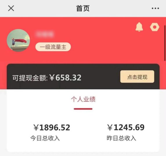 图片[1]-这个项目不会卷，一天小赚1000+，带队实战