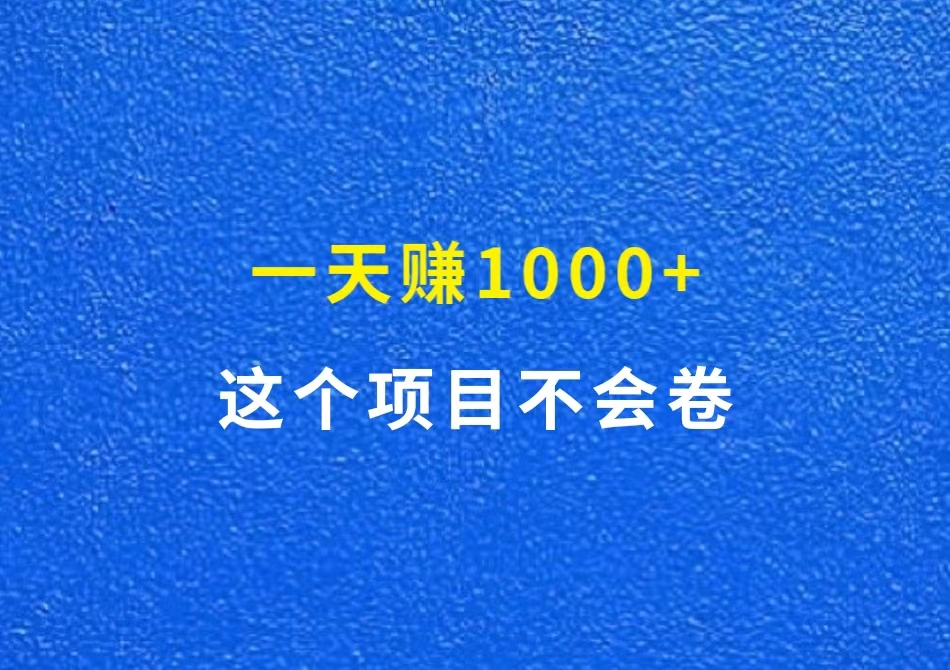 这个项目不会卷，一天小赚1000+，带队实战