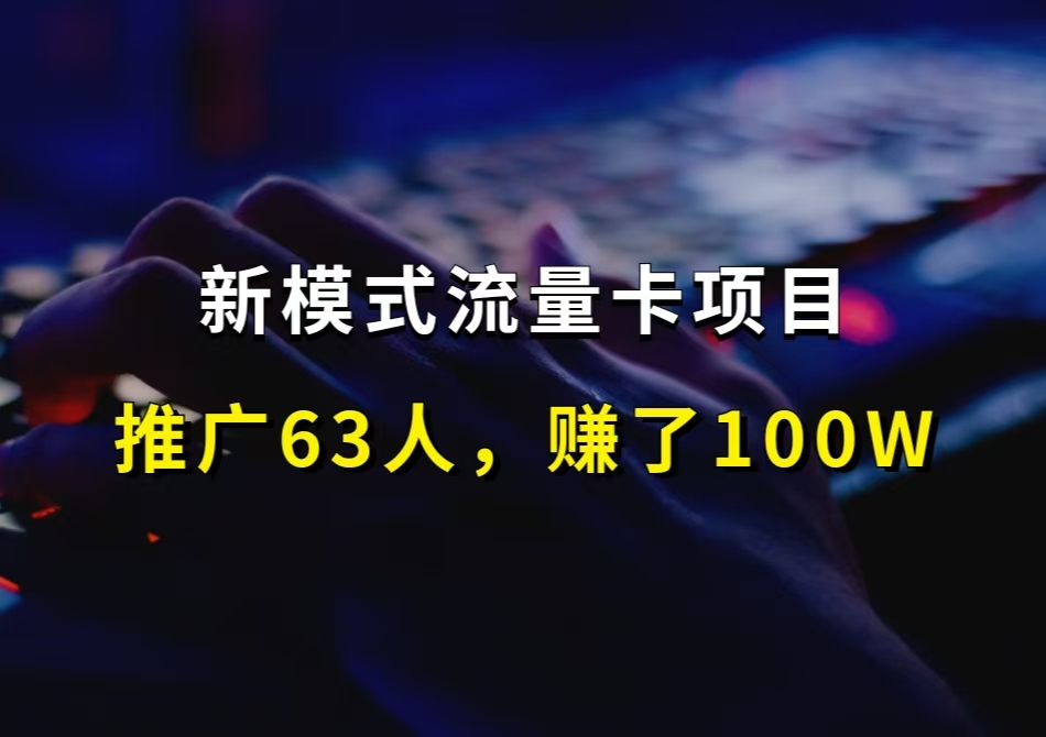 新模式流量卡项目，赚了100W，仅仅推广63人【实战陪跑，免费参加】-财智副业社